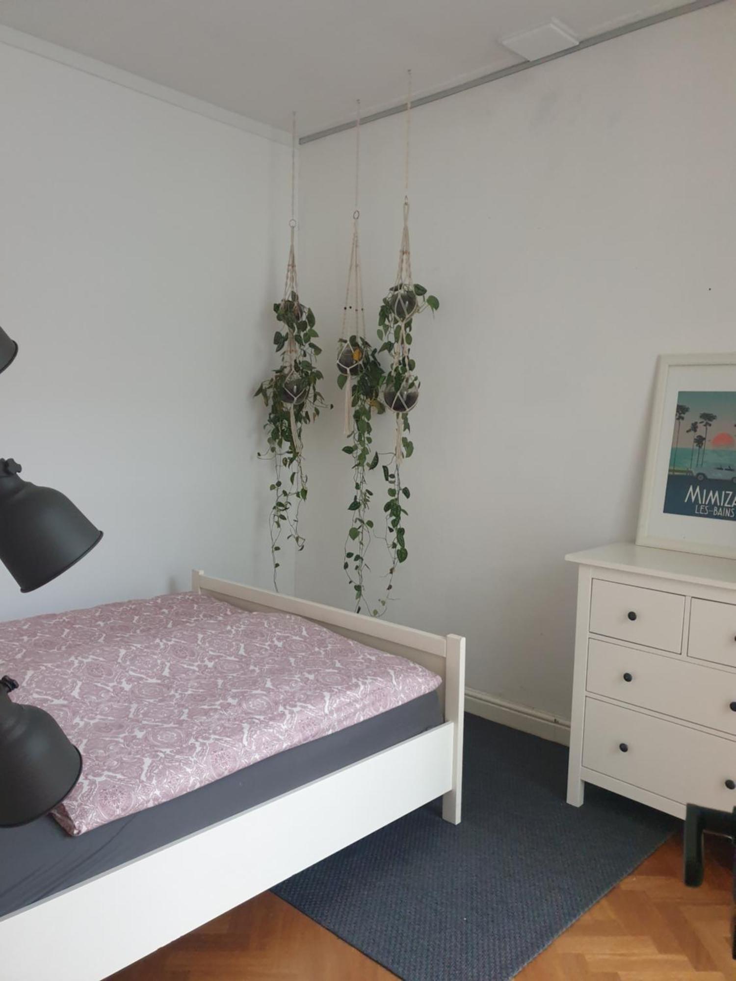 @Salland Zwolle  Room photo